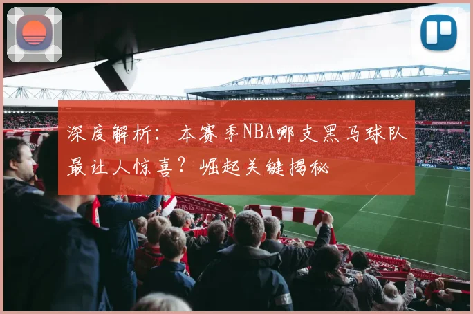 深度解析：本赛季NBA哪支黑马球队最让人惊喜？崛起关键揭秘